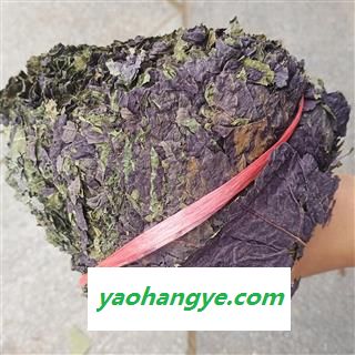 紫苏叶 紫苏叶全叶选货 产地 浙江省图1