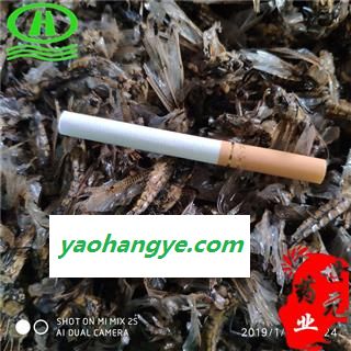 世元药业 蜻蜓 河北红黄色 别称 负劳 蟌 蜻蛉 桑根 胡蝶 狐梨 诸乘 胡蜊 马大头 纱羊 蜻虰 青娘子 蝍蛉 仓螘图1