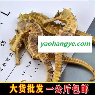 海马 短刺 统 9克以上 产地 北京市图1