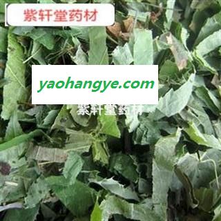 淫羊藿 仙灵脾 淫羊藿柔软绿色  产地 吉林省图1