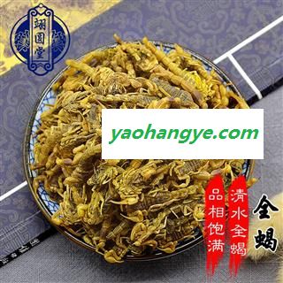 全蝎 选货 产地 宁夏回族自治区图1