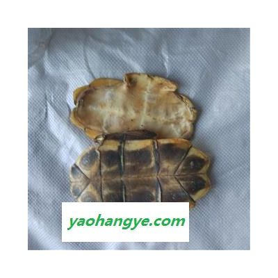龟板 龟甲 水龟板 选 产地山东省 聚源药业 专注品质 产地 山东省