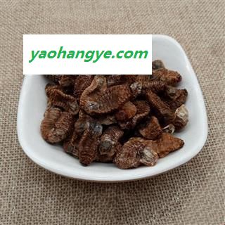 中药材 蛴螬 土蚕 老母虫 核桃虫 粪虫图1