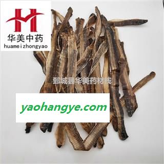 地龙 广地龙全开个 产地 广西 华美中药 产地直销 重在品质图1