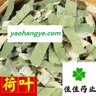 荷叶 选片 长条形 新货 味道浓 颜色好 产地 山东省 批发各类中药材图1