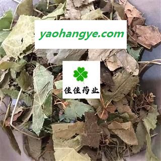 淫羊藿 统 产地 四川省 洋火叶 不掺假 诚信铸就未来图1