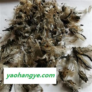 小丽百草行蜻蜓 马大头 猫猫丁黑蜻蜓 诸乘、胡蜊、马大头、纱羊、青娘子图1