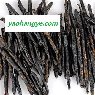 世元药业 苦丁茶 茶丁 富丁茶 卢茶 大叶苦丁图1