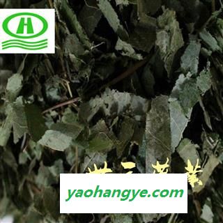 世元药业 羊油淫羊藿 正品辽宁洋火叶 仙灵脾 放杖草 弃杖草 千两金 干鸡筋 黄连祖 三枝九叶草图1