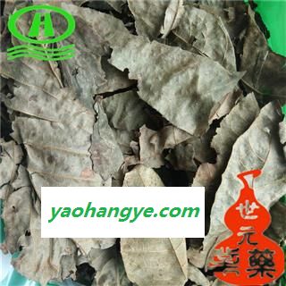世元药业 青钱柳叶 正品 别称 摇钱树 麻柳 青钱李 山麻柳 山化树 金钱柳叶图1