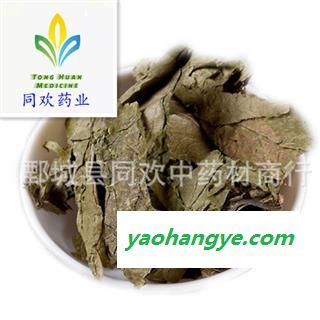 【杜仲叶】@【同欢药材】中药材批发供应  规格齐全 量大从优 产地 四川省图1