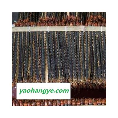 蜈蚣 蜈蚣大条选货13-15cm 地道药材 产地 湖北省
