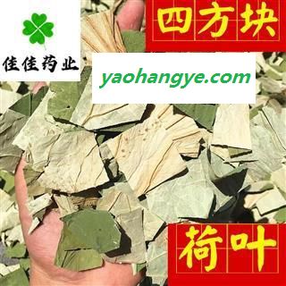 荷叶 四方块 实物图 产地 山东省 新货 颜色好 味道浓图1