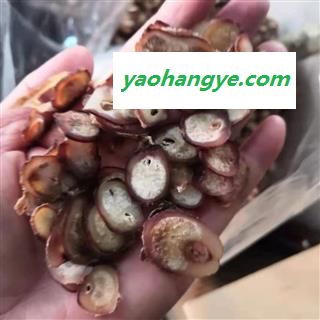 诺源药材行牛鞭  牛筋 另有鹿筋鹿鞭图1