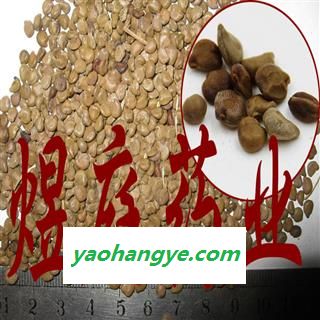煜庭药业 望江南图1