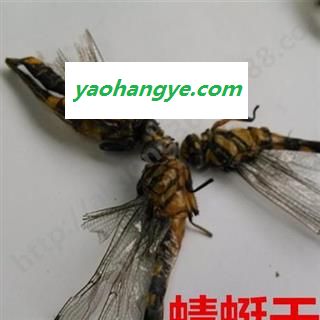 绿头蜻蜓 绿蜻蜓 净500克正品保证质量图1