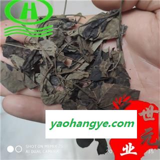 世元药业 木豆叶 正品 当年新货 别称 黄豆树 叶类药材易碎图1