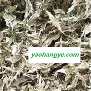 艾叶  小艾叶统货今年新货 颜色新鲜 味道醇厚 产地 山东省图1