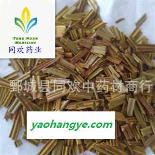 【铁树叶】@【同欢药材】中药材批发供应 规格齐全 量大从优  产地 四川省图1