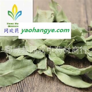 【大叶罗布麻】@【同欢药材】中药材批发供应  规格齐全 量大从优 产地 新疆维吾尔自治区图1