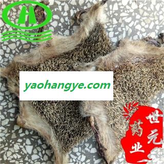 世元药业 刺猬皮 整张生皮 正品 新货大张 干净无肉无油图1