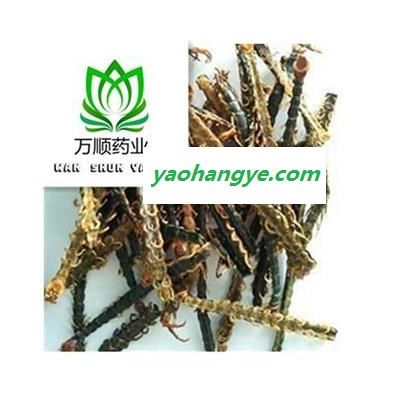 蜈蚣皮子选货 质量好 价格低  产地 湖北省