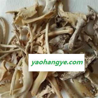 新辉药业刺猬骨图1