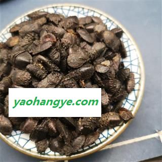 九香虫  黑兜虫 蜣螂虫 打屁虫 屁巴虫图1