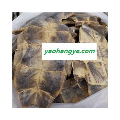 圣草康园龟板 龟甲新货 旱龟板选货 龟板 包含量 产地 湖北省