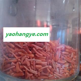 圣草康园红珊瑚红珊瑚下脚料图1