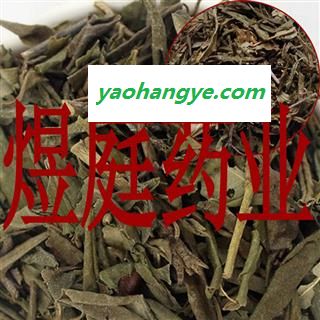 煜庭药业 大叶映山红 满山红 正品图1