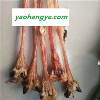 诺源药材行正品牛筋 实物拍照 各种规格 去蹄 去筋图1