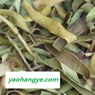 小丽百草行芦荟 花茶芦荟图1