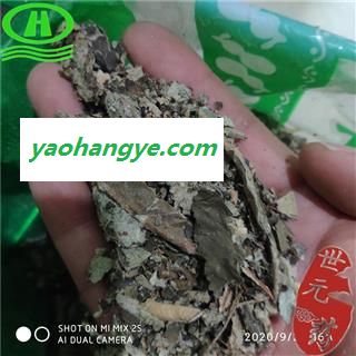世元药业 大叶紫珠叶 正品 白棠子树 紫荆 紫珠草 大风叶 白狗肠图1