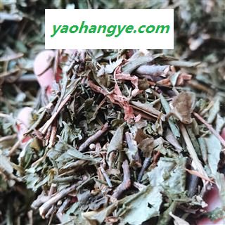 新辉药业满山红  迎山红 南山红图1