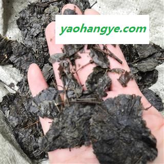诺源药材行中药材无硫苦丁茶 大叶苦丁茶 大货供应图1