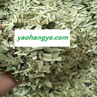 诺源药材行中药材减脂叶 选泻叶 潘泻叶 便秘茶 零售批发 大货从优图1