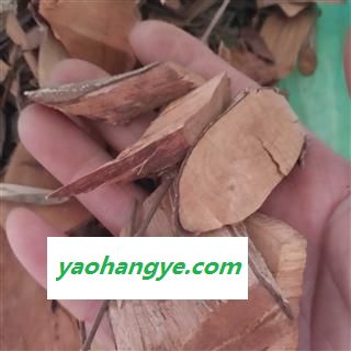诺源药材行中药材漆大姑  算盘子根图1
