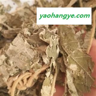 诺源药材行正品紫珠叶 大叶紫珠叶 另有小叶紫珠叶图1