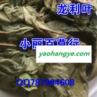 小丽百草行中药材 龙利叶 龙舌叶图1