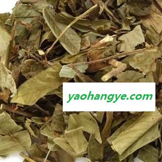 中药材 葫芦茶/螳螂草/咸鱼草/三脚虎/龙舌广/葫芦叶 小丽百草行 葫芦茶图1