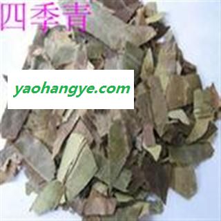 小丽百草行四季青新货颜色好图1