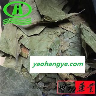 世元药业 布渣叶 正品 优质 麻布叶 破布叶图1