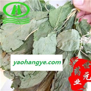 世元药业 人参叶 正品 别称-人参苗 参叶【全品除尘中药】图1