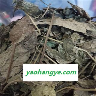 新辉药业臭梧桐 八角梧桐 追骨风 后庭花 香楸 泡火桐图1