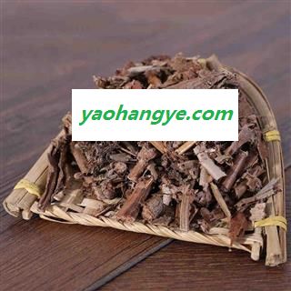 猪笼草 中药材 雷公平 猪仔草 捕虫草 忘忧草 猪仔笼图1