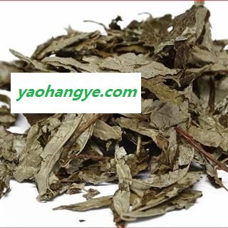 圣草康园中药材胡颓子叶 胡秃子叶图1