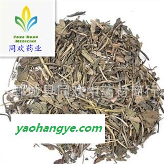 【新货大青叶】@【同欢药材】中药材批发供应  规格齐全 量大从优  产地 甘肃省图1