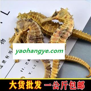 华珍品 海马  04海马短刺 统 2克以上 产地 海外图1
