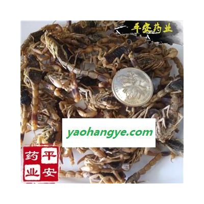 全蝎 河北大青皮蝎子 符合药典标准 无增重 全虫 【品质保证 卓越品质】